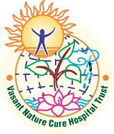 VNCH Logo